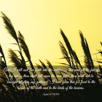 Picture 03 - Ezekiel 29:5 ASV - And I will cast thee forth into the wilderness, - Bible Verse Picture