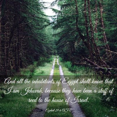 Picture 03 - Ezekiel 29:6 ASV - And all the inhabitants of Egypt shall know that - Bible Verse Picture