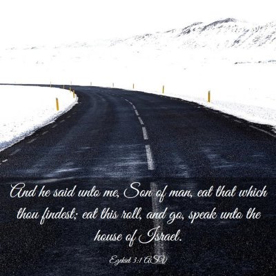 Picture 03 - Ezekiel 3:1 ASV - And he said unto me, Son of man, eat that which - Bible Verse Picture
