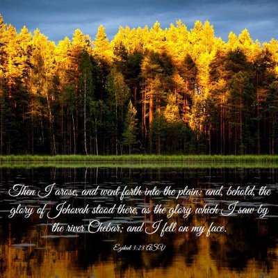 Picture 03 - Ezekiel 3:23 ASV - Then I arose, and went forth into the plain: and, - Bible Verse Picture