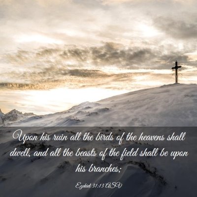 Picture 03 - Ezekiel 31:13 ASV - Upon his ruin all the birds of the heavens shall - Bible Verse Picture
