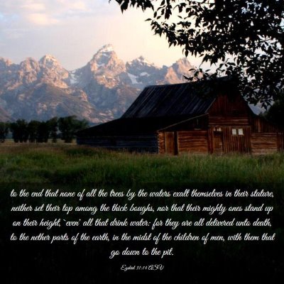 Picture 03 - Ezekiel 31:14 ASV - to the end that none of all the trees by the - Bible Verse Picture