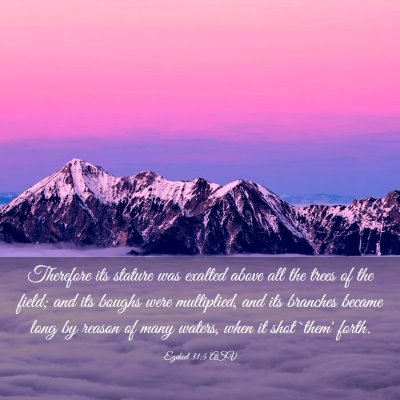 Picture 03 - Ezekiel 31:5 ASV - Therefore its stature was exalted above all the - Bible Verse Picture