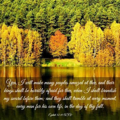 Picture 03 - Ezekiel 32:10 ASV - Yea, I will make many peoples amazed at thee, and - Bible Verse Picture