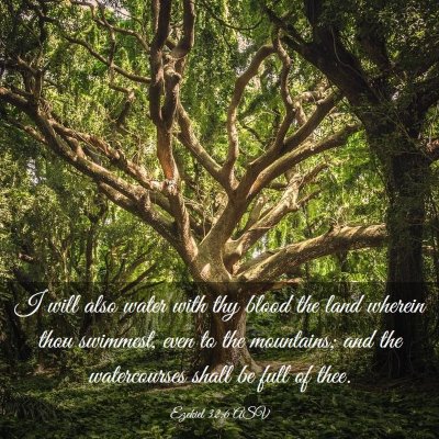 Picture 03 - Ezekiel 32:6 ASV - I will also water with thy blood the land wherein - Bible Verse Picture