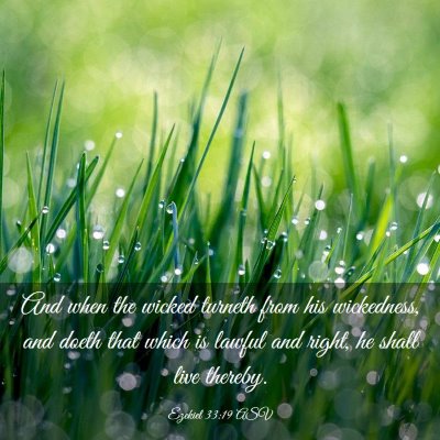 Picture 03 - Ezekiel 33:19 ASV - And when the wicked turneth from his wickedness, - Bible Verse Picture