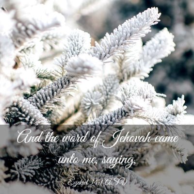 Picture 03 - Ezekiel 34:1 ASV - And the word of Jehovah came unto me, - Bible Verse Picture