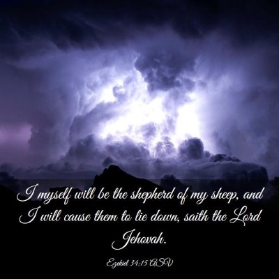 Picture 03 - Ezekiel 34:15 ASV - I myself will be the shepherd of my sheep, and I - Bible Verse Picture