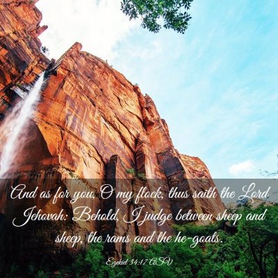 Picture 03 - Ezekiel 34:17 ASV - And as for you, O my flock, thus saith the Lord - Bible Verse Picture