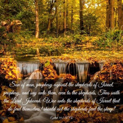 Picture 03 - Ezekiel 34:2 ASV - Son of man, prophesy against the shepherds of - Bible Verse Picture