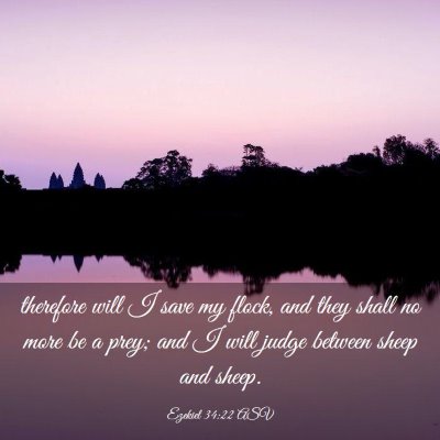 Picture 03 - Ezekiel 34:22 ASV - therefore will I save my flock, and they shall no - Bible Verse Picture