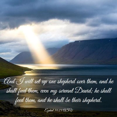Picture 03 - Ezekiel 34:23 ASV - And I will set up one shepherd over them, and he - Bible Verse Picture