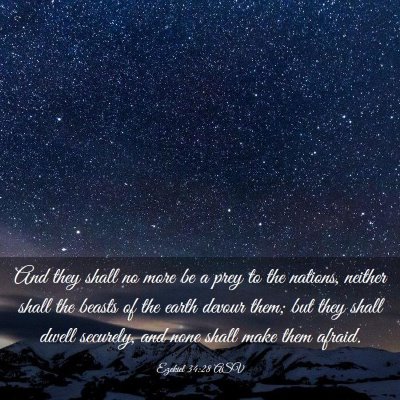 Picture 03 - Ezekiel 34:28 ASV - And they shall no more be a prey to the nations, - Bible Verse Picture