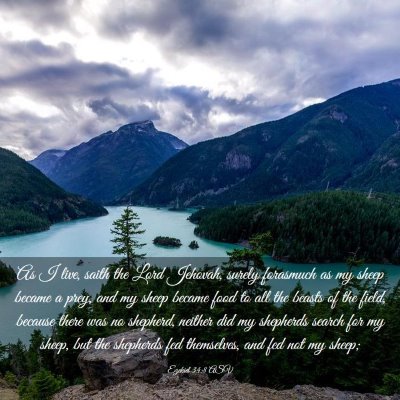 Picture 03 - Ezekiel 34:8 ASV - As I live, saith the Lord Jehovah, surely - Bible Verse Picture
