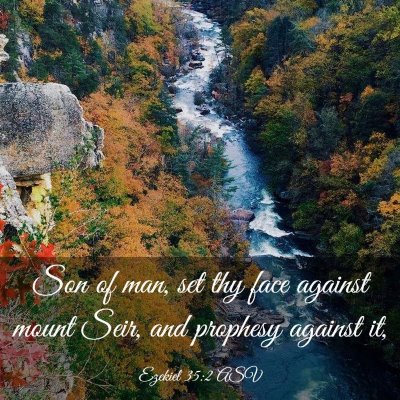 Picture 03 - Ezekiel 35:2 ASV - Son of man, set thy face against mount Seir, and - Bible Verse Picture
