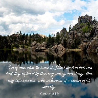 Picture 03 - Ezekiel 36:17 ASV - Son of man, when the house of Israel dwelt in - Bible Verse Picture
