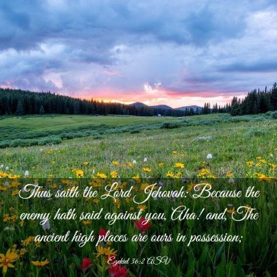 Picture 03 - Ezekiel 36:2 ASV - Thus saith the Lord Jehovah: Because the enemy - Bible Verse Picture