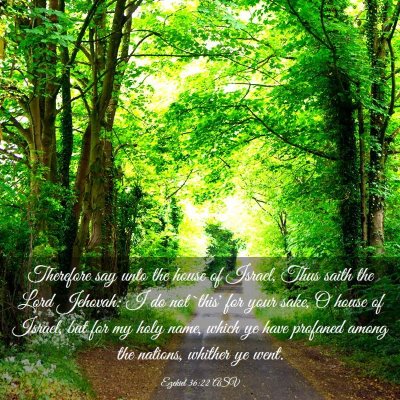 Picture 03 - Ezekiel 36:22 ASV - Therefore say unto the house of Israel, Thus - Bible Verse Picture