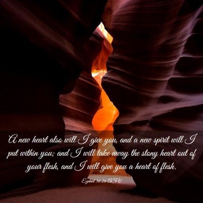 Picture 03 - Ezekiel 36:26 ASV - A new heart also will I give you, and a new - Bible Verse Picture