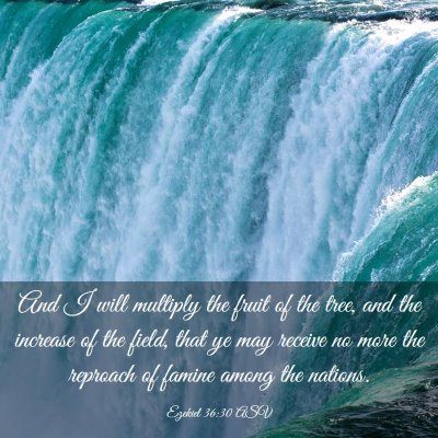 Picture 03 - Ezekiel 36:30 ASV - And I will multiply the fruit of the tree, and - Bible Verse Picture