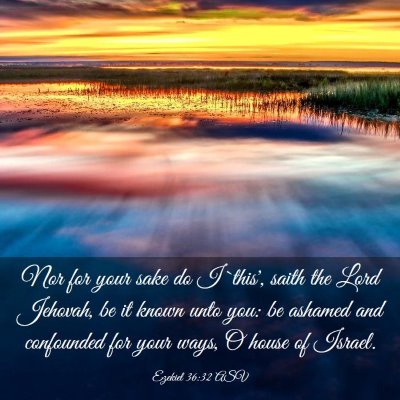 Picture 03 - Ezekiel 36:32 ASV - Nor for your sake do I `this', saith the Lord - Bible Verse Picture