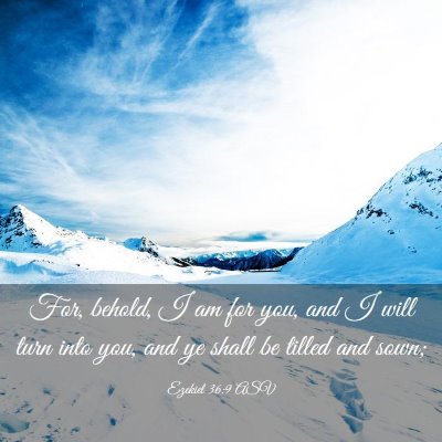 Picture 03 - Ezekiel 36:9 ASV - For, behold, I am for you, and I will turn into - Bible Verse Picture