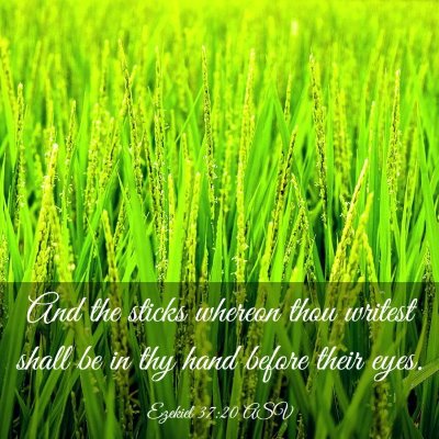 Picture 03 - Ezekiel 37:20 ASV - And the sticks whereon thou writest shall be in - Bible Verse Picture