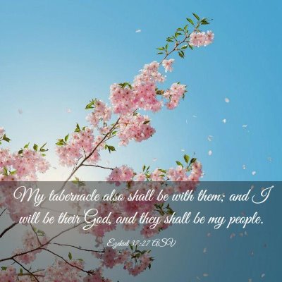 Picture 03 - Ezekiel 37:27 ASV - My tabernacle also shall be with them; and I will - Bible Verse Picture