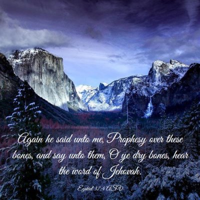 Picture 03 - Ezekiel 37:4 ASV - Again he said unto me, Prophesy over these bones, - Bible Verse Picture