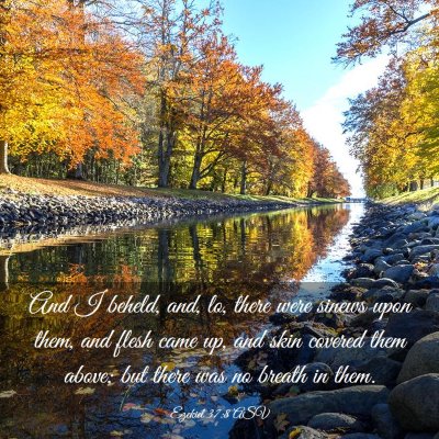 Picture 03 - Ezekiel 37:8 ASV - And I beheld, and, lo, there were sinews upon - Bible Verse Picture