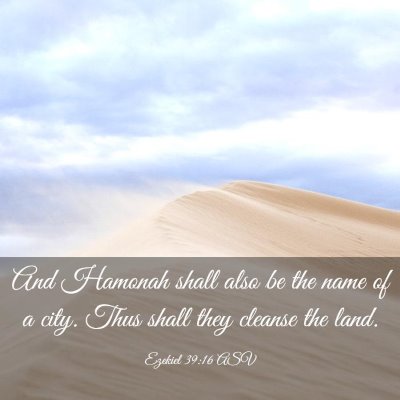 Picture 03 - Ezekiel 39:16 ASV - And Hamonah shall also be the name of a city. - Bible Verse Picture