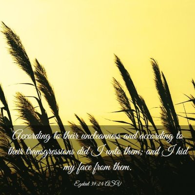 Picture 03 - Ezekiel 39:24 ASV - According to their uncleanness and according to - Bible Verse Picture