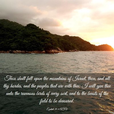 Picture 03 - Ezekiel 39:4 ASV - Thou shalt fall upon the mountains of Israel, - Bible Verse Picture