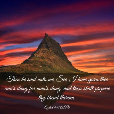 Picture 03 - Ezekiel 4:15 ASV - Then he said unto me, See, I have given thee - Bible Verse Picture