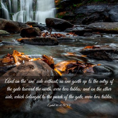 Picture 03 - Ezekiel 40:40 ASV - And on the `one' side without, as one goeth up to - Bible Verse Picture