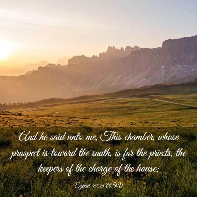 Picture 03 - Ezekiel 40:45 ASV - And he said unto me, This chamber, whose prospect - Bible Verse Picture