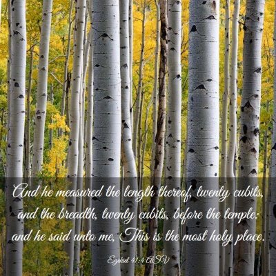 Picture 03 - Ezekiel 41:4 ASV - And he measured the length thereof, twenty - Bible Verse Picture