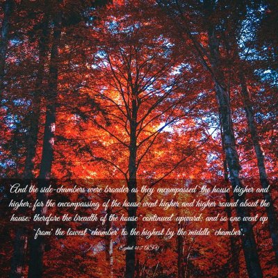 Picture 03 - Ezekiel 41:7 ASV - And the side-chambers were broader as they - Bible Verse Picture
