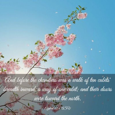 Picture 03 - Ezekiel 42:4 ASV - And before the chambers was a walk of ten cubits' - Bible Verse Picture