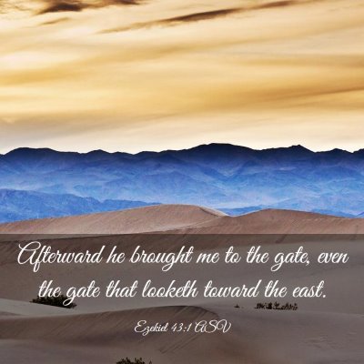 Picture 03 - Ezekiel 43:1 ASV - Afterward he brought me to the gate, even the - Bible Verse Picture