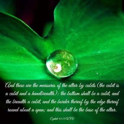 Picture 03 - Ezekiel 43:13 ASV - And these are the measures of the altar by cubits - Bible Verse Picture