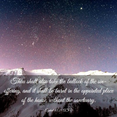 Picture 03 - Ezekiel 43:21 ASV - Thou shalt also take the bullock of the - Bible Verse Picture
