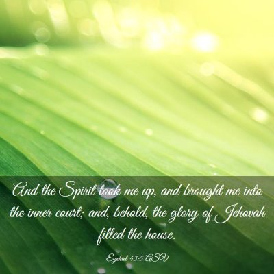 Picture 03 - Ezekiel 43:5 ASV - And the Spirit took me up, and brought me into - Bible Verse Picture