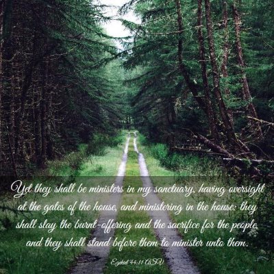 Picture 03 - Ezekiel 44:11 ASV - Yet they shall be ministers in my sanctuary, - Bible Verse Picture