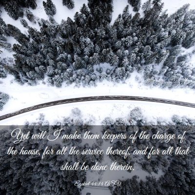 Picture 03 - Ezekiel 44:14 ASV - Yet will I make them keepers of the charge of the - Bible Verse Picture