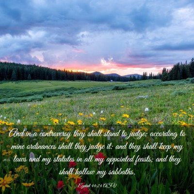 Picture 03 - Ezekiel 44:24 ASV - And in a controversy they shall stand to judge; - Bible Verse Picture