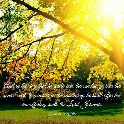 Picture 03 - Ezekiel 44:27 ASV - And in the day that he goeth into the sanctuary, - Bible Verse Picture