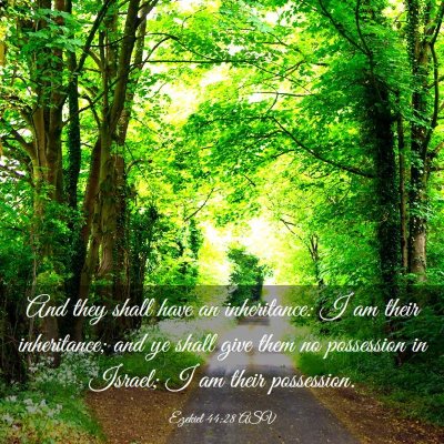 Picture 03 - Ezekiel 44:28 ASV - And they shall have an inheritance: I am their - Bible Verse Picture