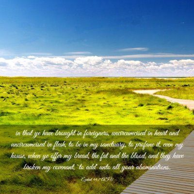 Picture 03 - Ezekiel 44:7 ASV - in that ye have brought in foreigners, - Bible Verse Picture