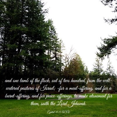 Picture 03 - Ezekiel 45:15 ASV - and one lamb of the flock, out of two hundred, - Bible Verse Picture